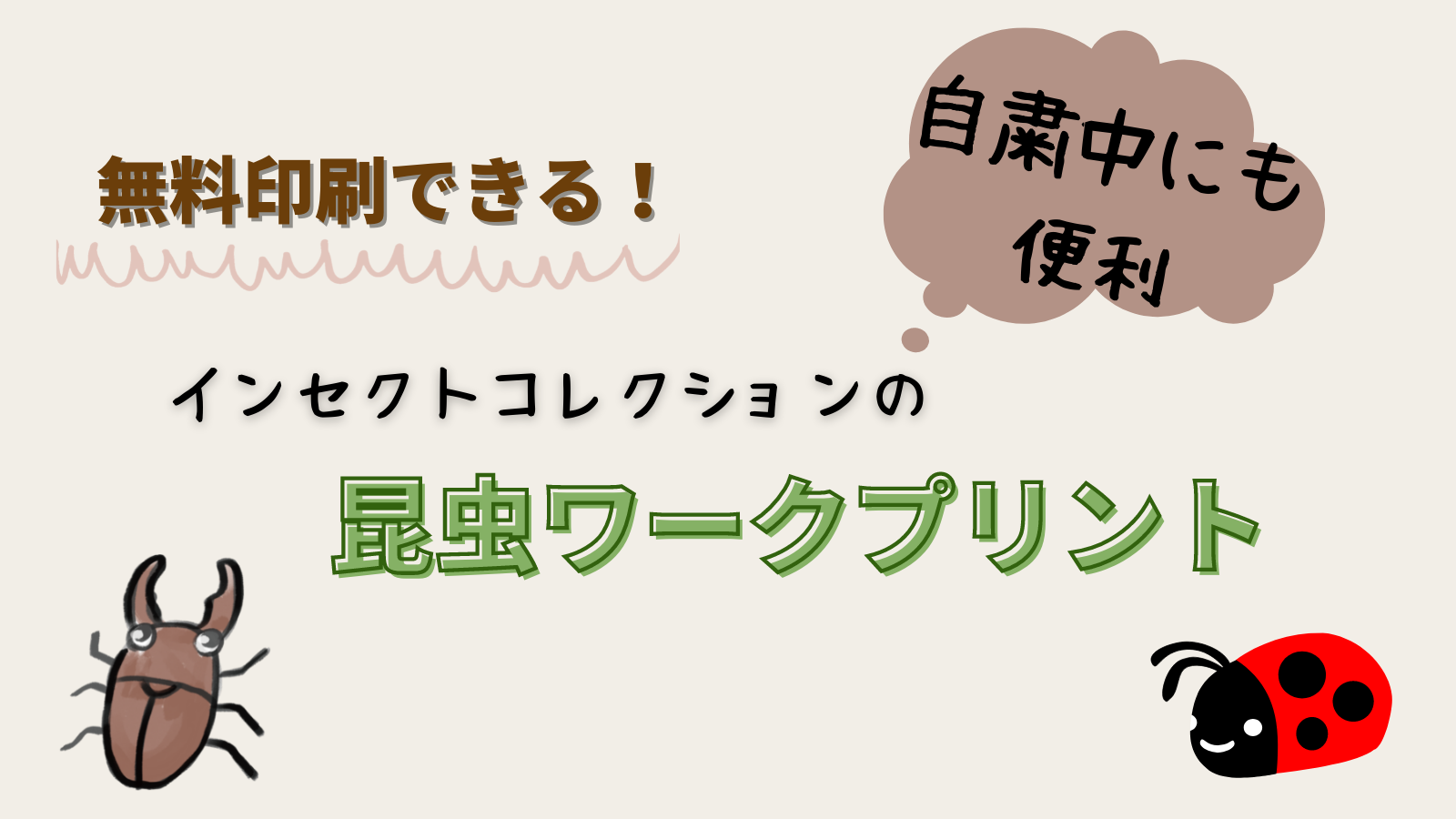 インセクトコレクション 昆虫大集合ウインドブレーカー ジャンパー