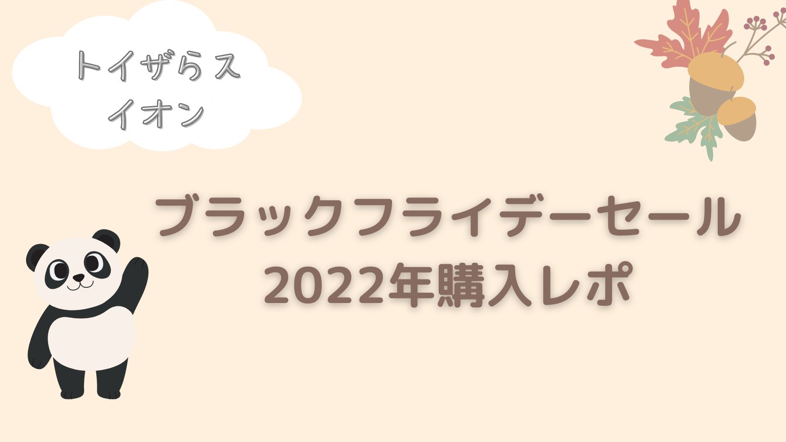 イオン＆トイザらスのブラックフライデー２０２２年参戦！戦利品紹介｜もちブログ□ゆるっと子育て記録□